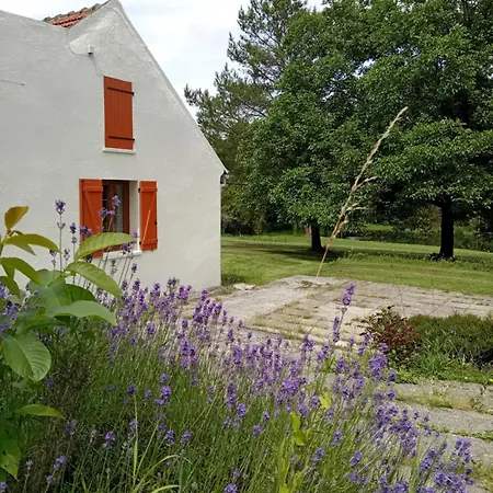 Holiday home D'altona
